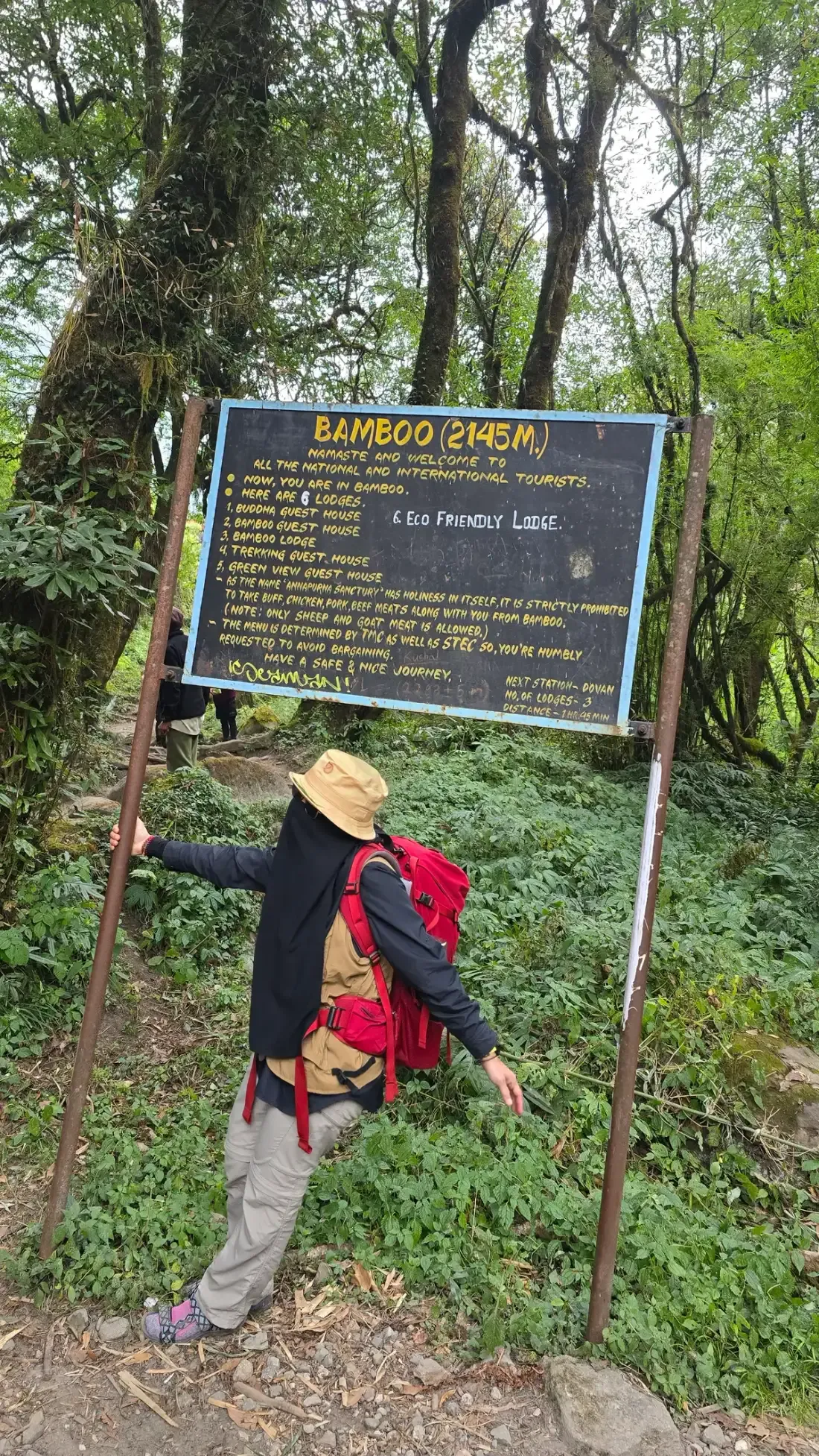 Bamboo forest and a trail signboard on the climb toward Bamboo.