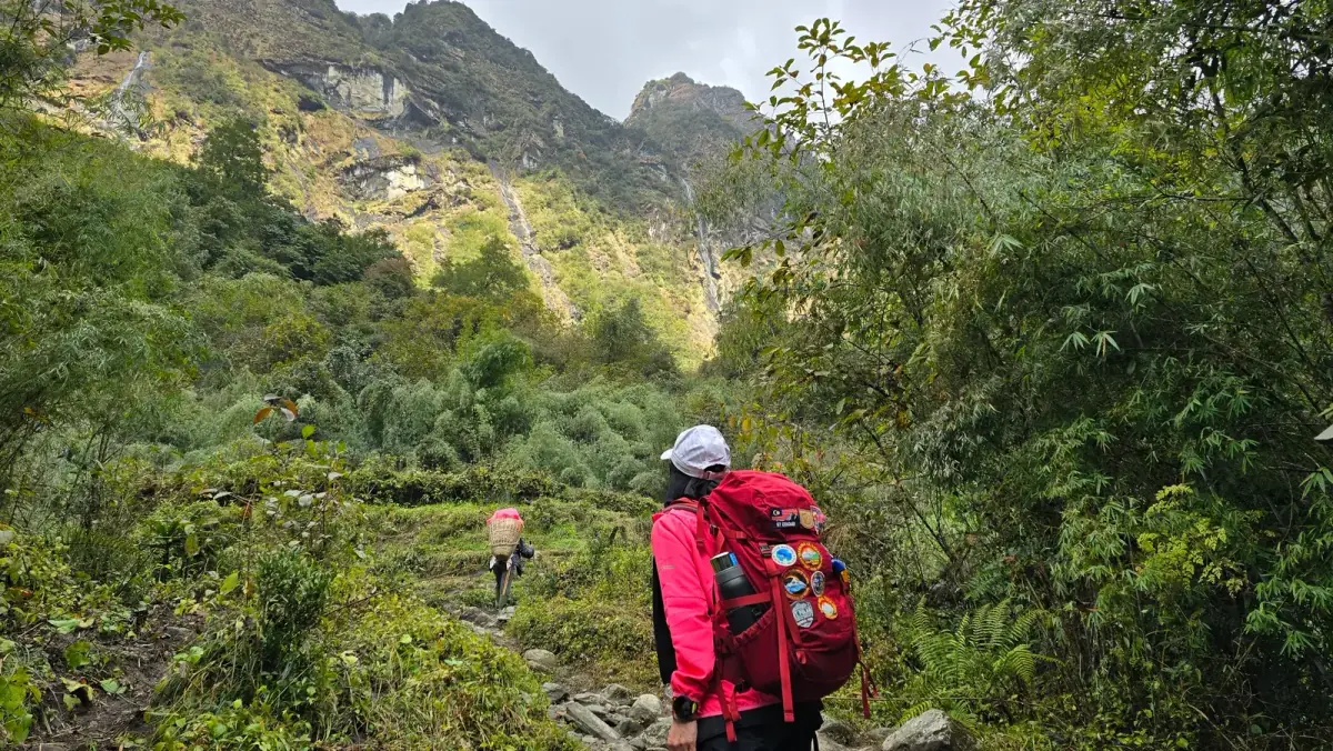 Walking the forest trail on the Annapurna Base Camp trek
