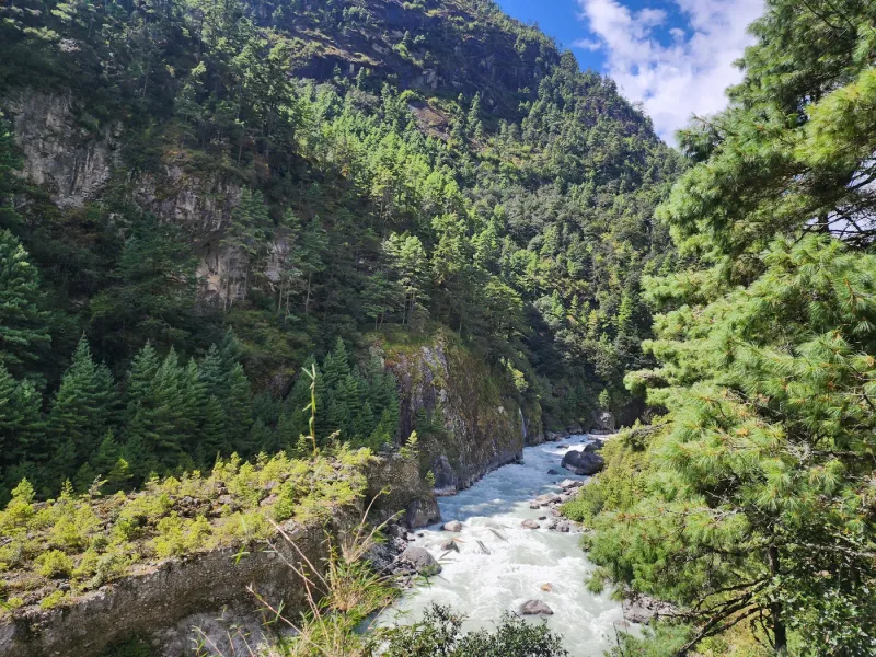The forested lower valley near the start of the trek, a river running below